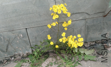 QQ��ͼ20151101163931.png