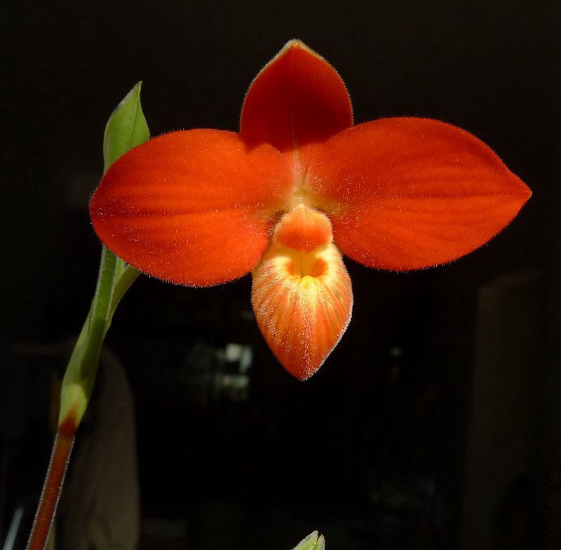 P1100637_����.jpg