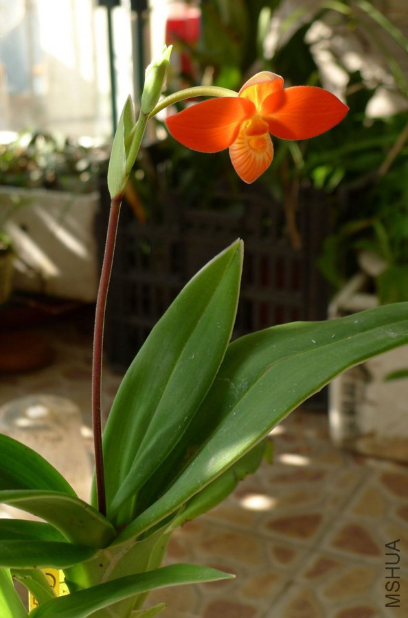 P1100658_����.jpg