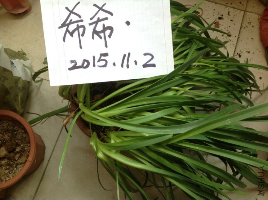 QQͼƬ20151102145720.jpg