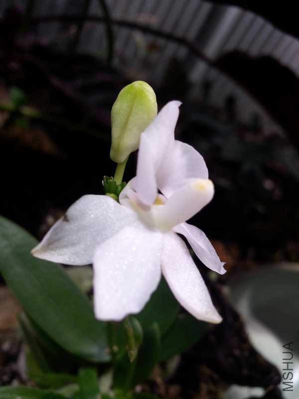 20150112_190624.jpg