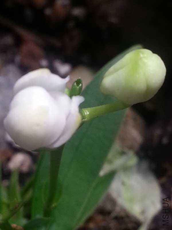20150111_225032.jpg