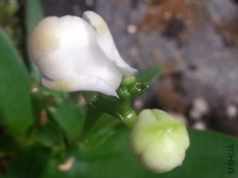 20150111_225121.jpg