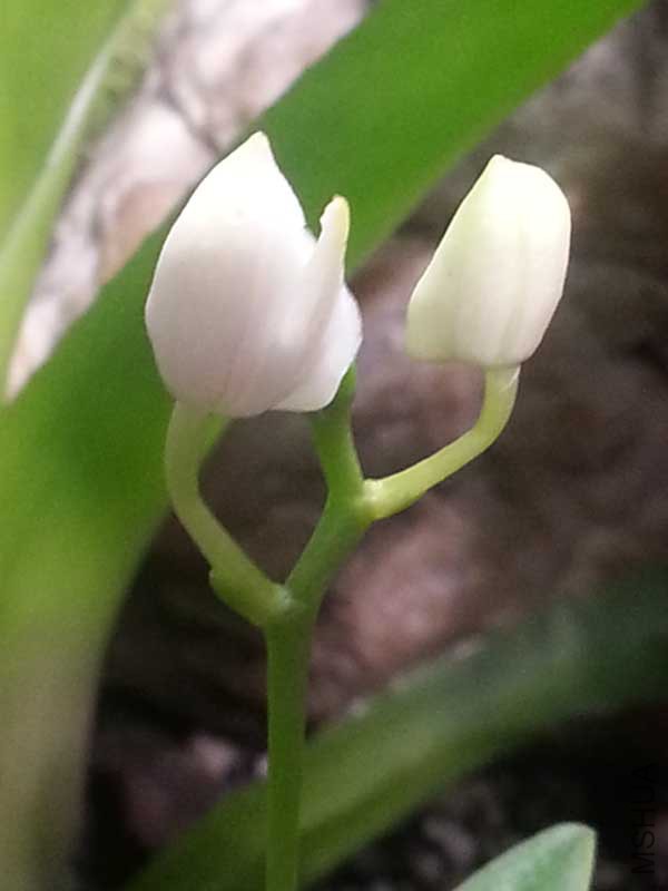 20150111_225241.jpg