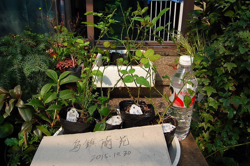 DSC_89070228.JPG