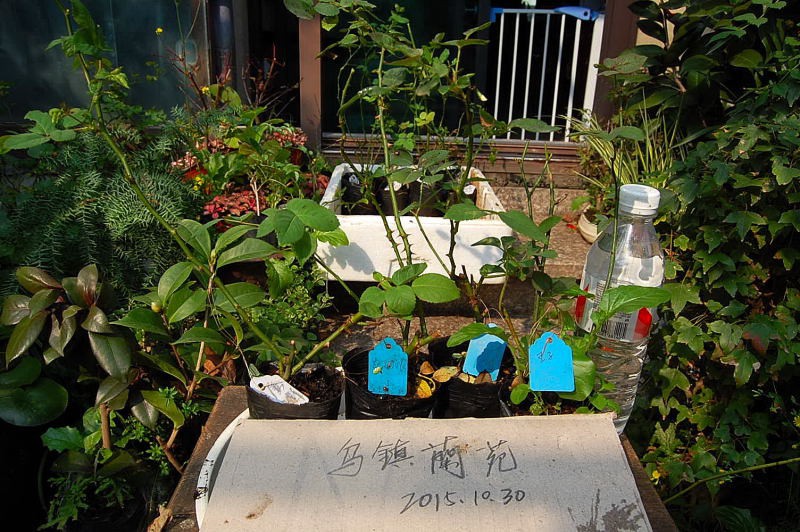 DSC_89090230.JPG