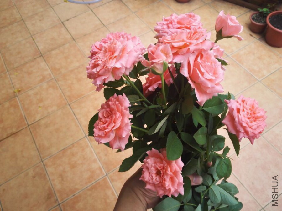 QQͼƬ20151028104908.jpg