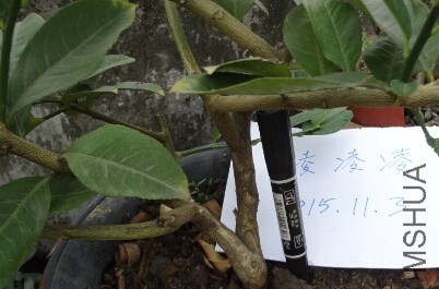 QQ��ͼ20151103113202.jpg