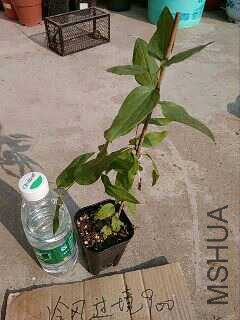 UC_Photo_296.jpg
