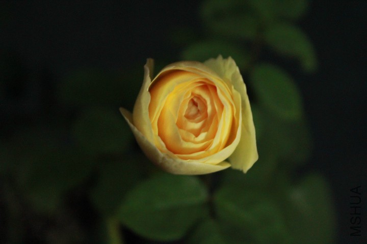 IMG_1726.JPG