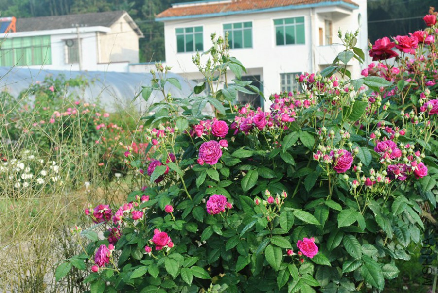 ���������� (2).jpg