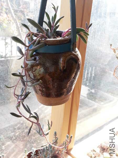 20150328_155425.jpg