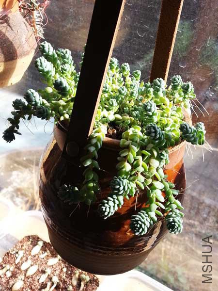 20150328_155358.jpg