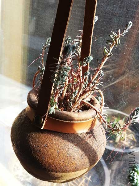 20150328_155405.jpg