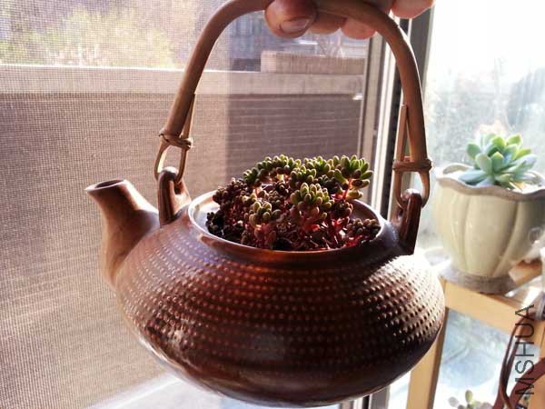20150328_164912.jpg