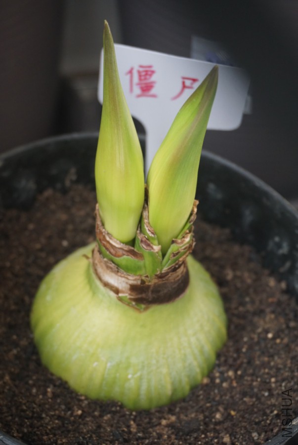 �ճ������������