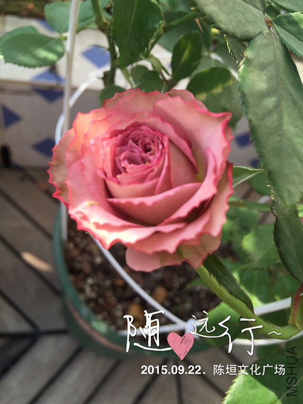 VF3H@Q5DD@%5}L07_4(09CY_����.jpg