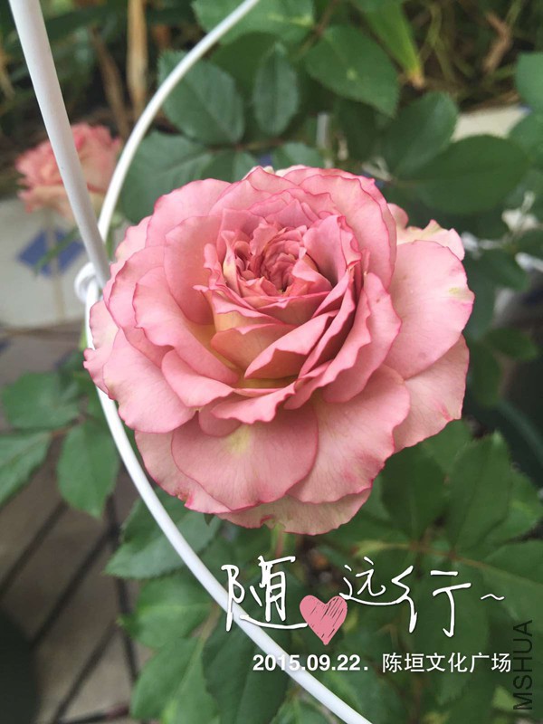 _P2`4LM_$U]5QMAZ4ORL[)2_����.jpg