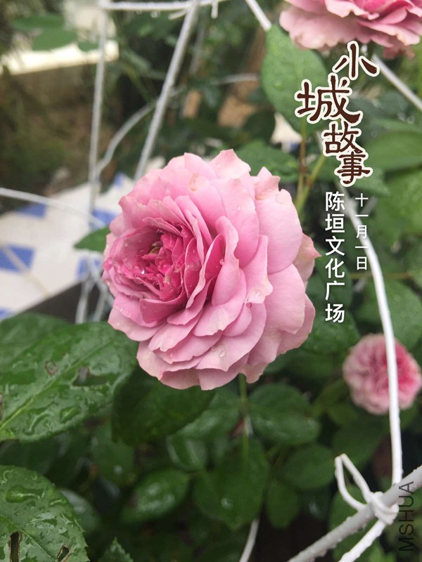 }NOK_8S(VKPG~UIASS1]8Q9_����.jpg