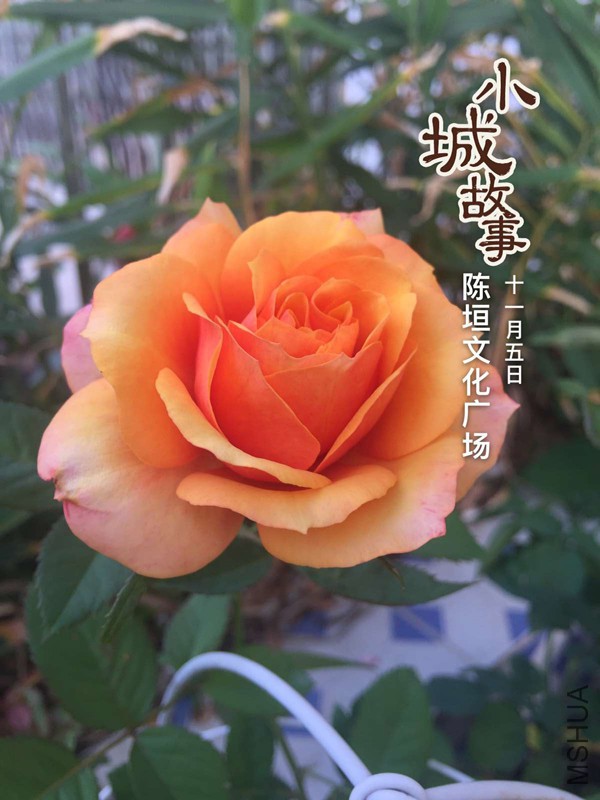 @9GNE~KZ0G4SG9NKHIAIKRP_����.jpg