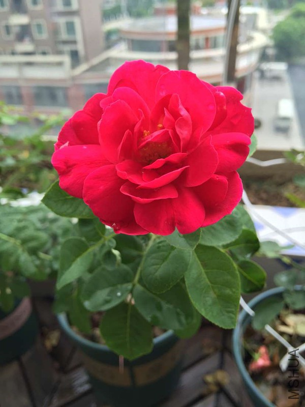 I79P}TC{1@D{)65L]DN]IBM_����.jpg