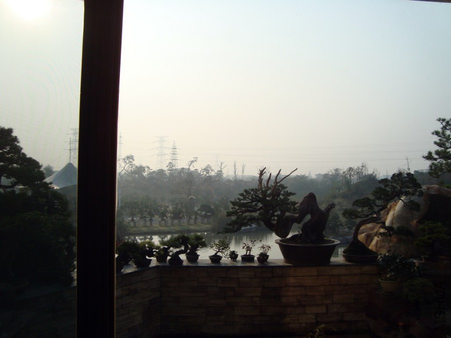 DSC00771.JPG