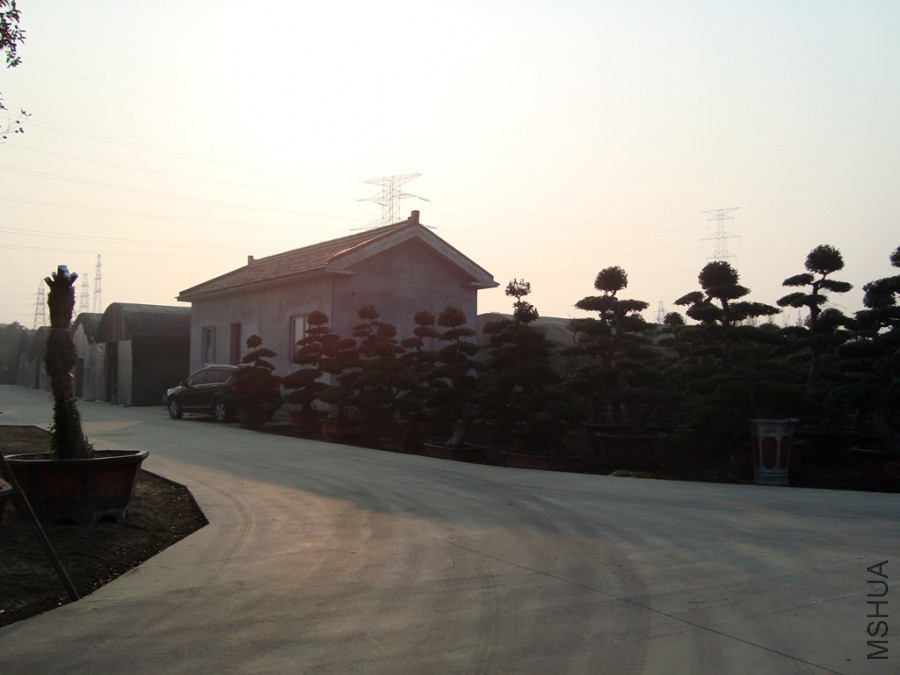 DSC00744.JPG