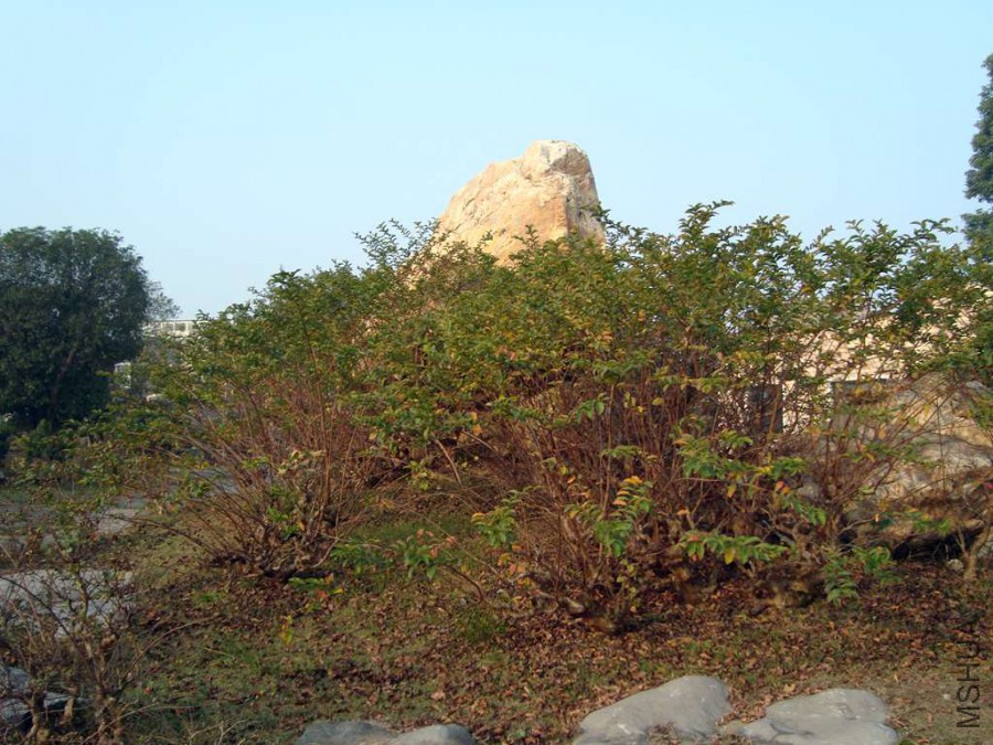 DSC00749.JPG