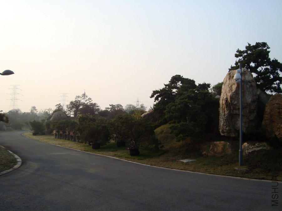 DSC00750.JPG
