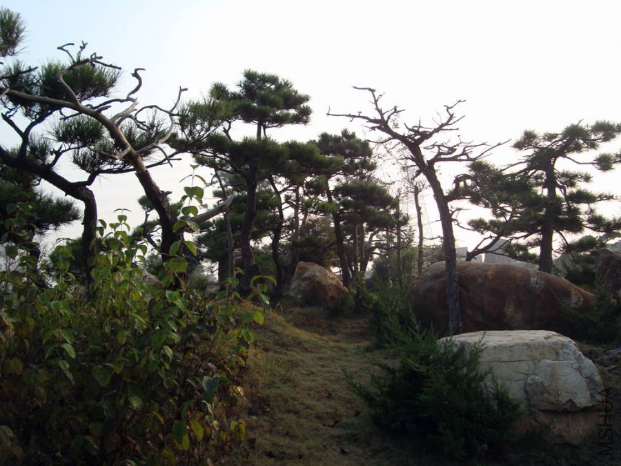 DSC00753.JPG