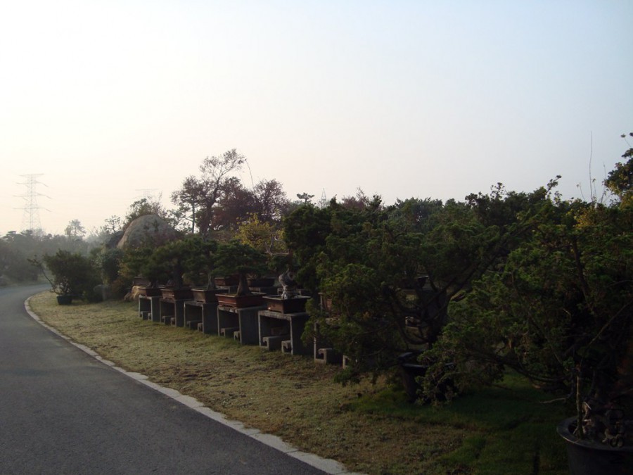 DSC00754.JPG