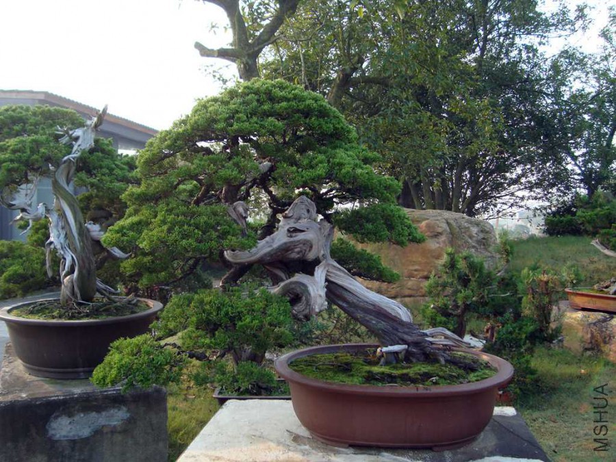 DSC00761.JPG