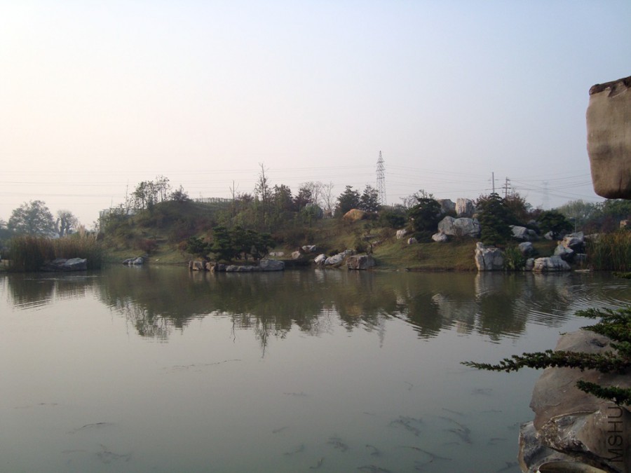 DSC00772.JPG