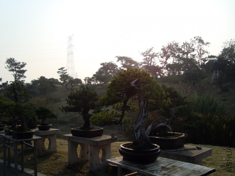 DSC00785.JPG