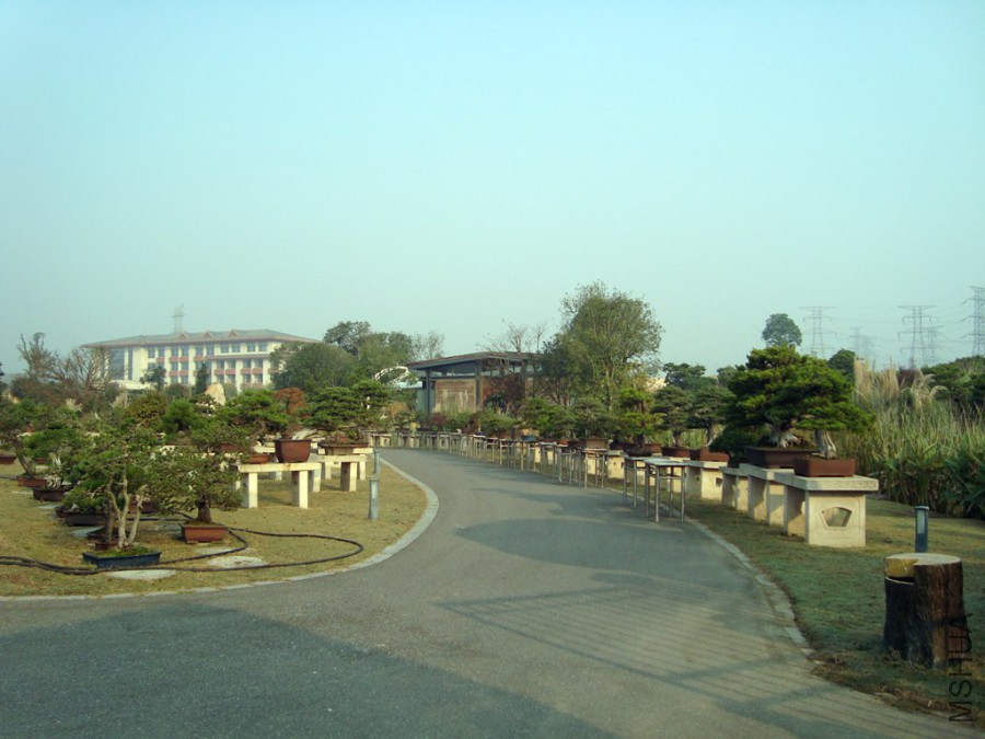 DSC00791.JPG