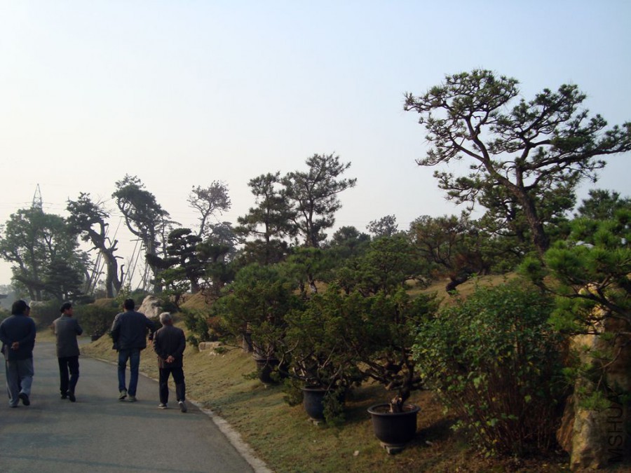 DSC00794.JPG
