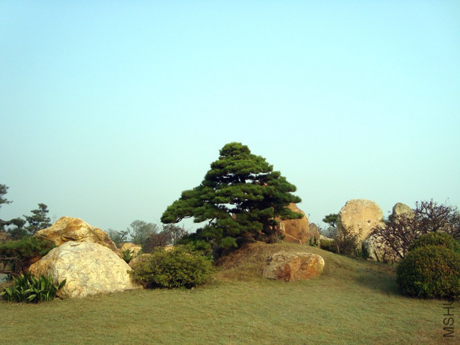 DSC00797.JPG