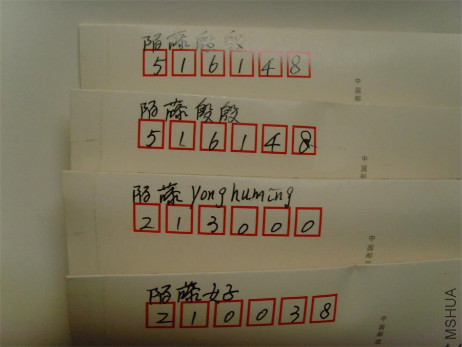 SNV39959.JPG