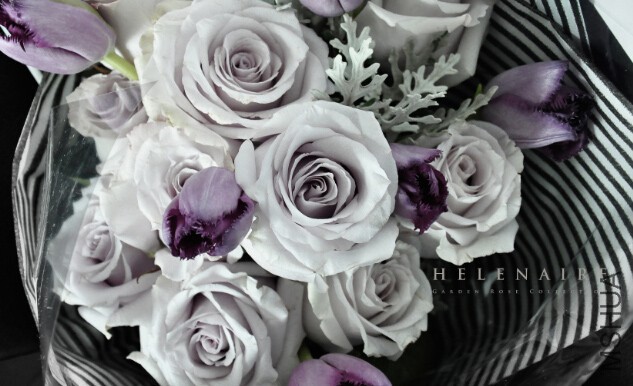 QQ��ͼ20151106100553.jpg