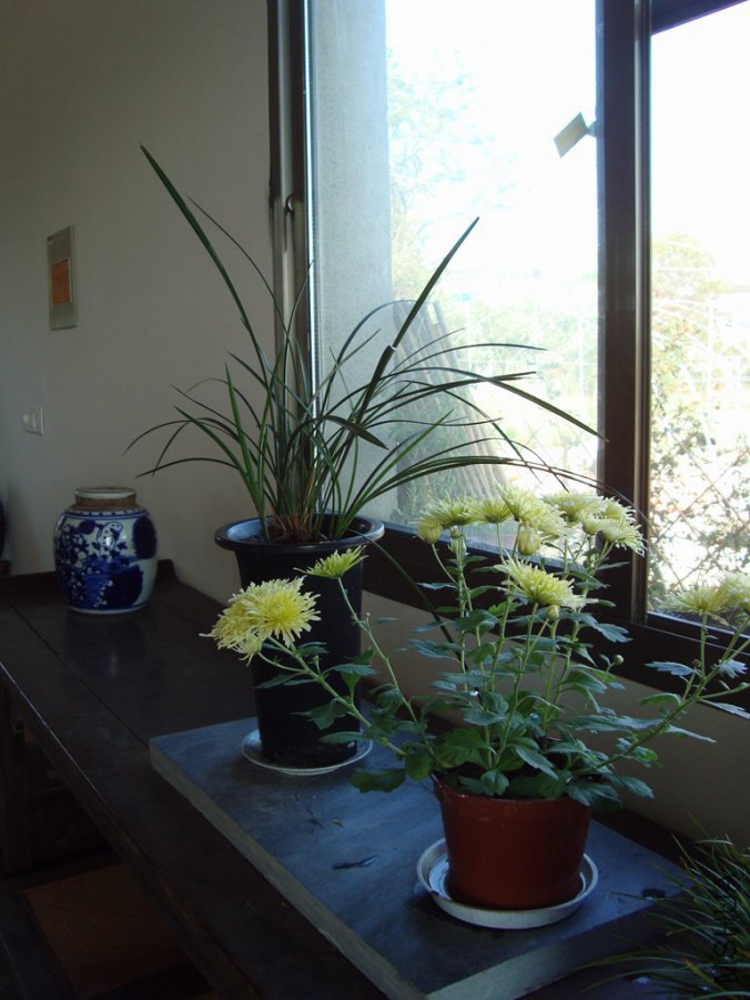 DSC00907.JPG