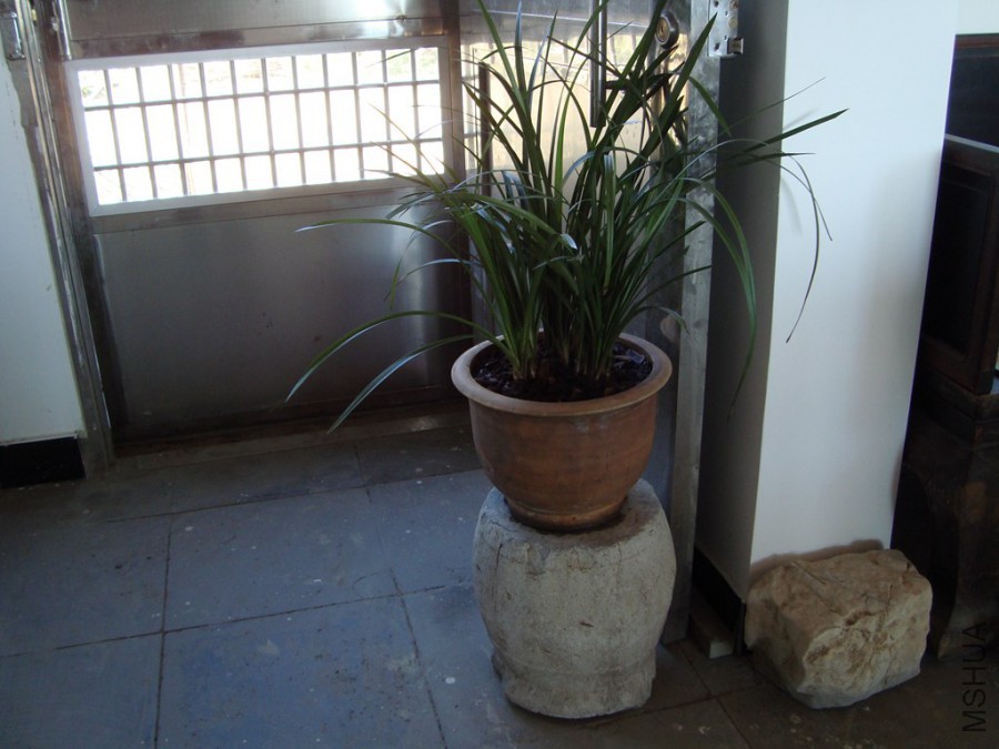 DSC00911.JPG