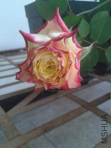 20151106_110543.jpg