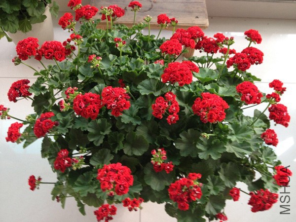 QQͼƬ20140626122839.jpg