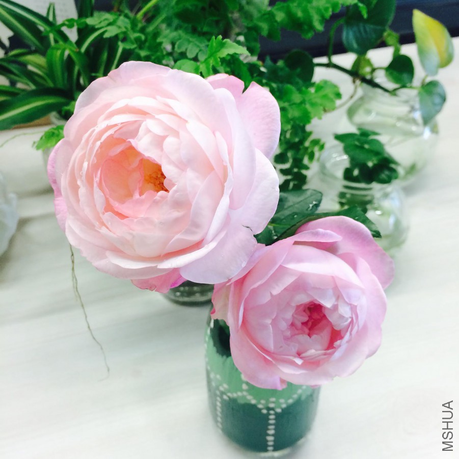 ��ݮ���ʱ�