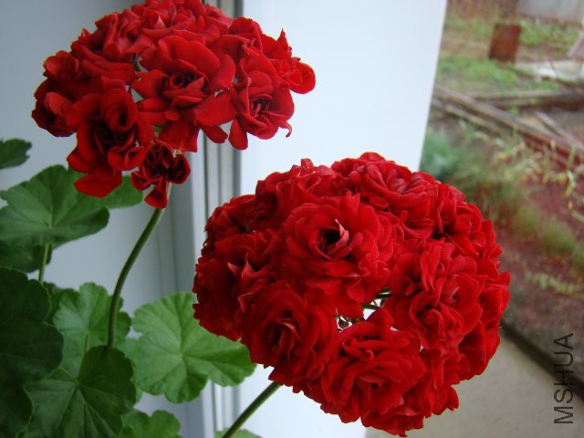 �����ҵ�