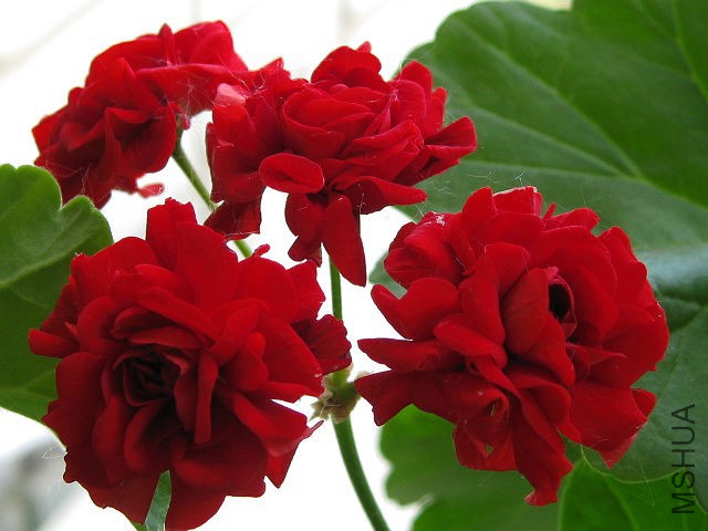 �����ҵ�