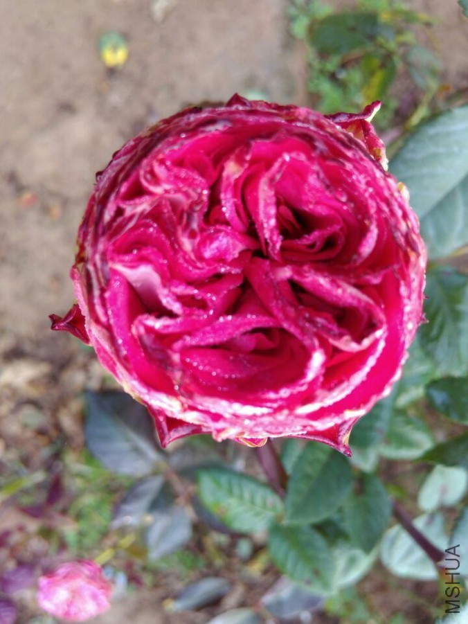 QQͼƬ20151107190226.jpg