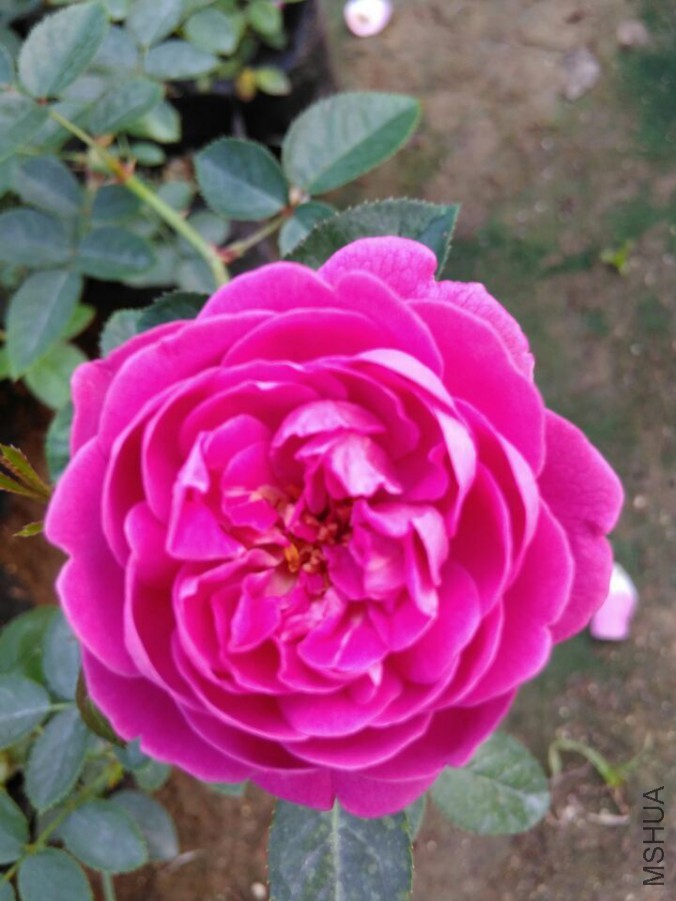 QQͼƬ20151107190214.jpg