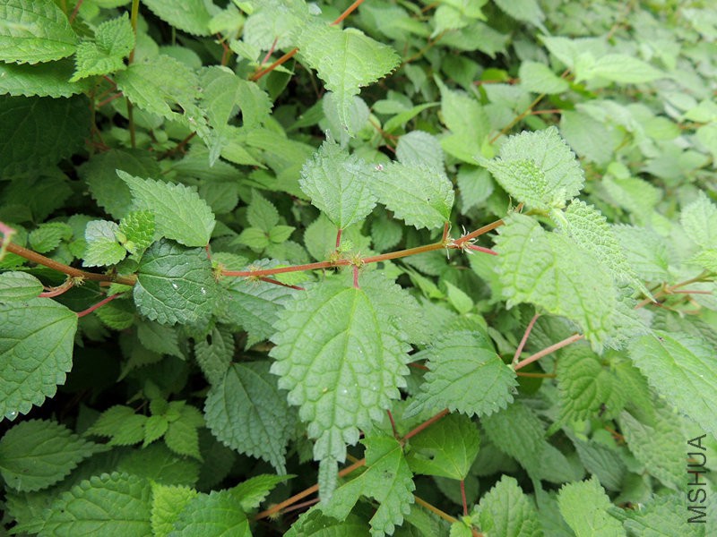 DSCN8728.JPG