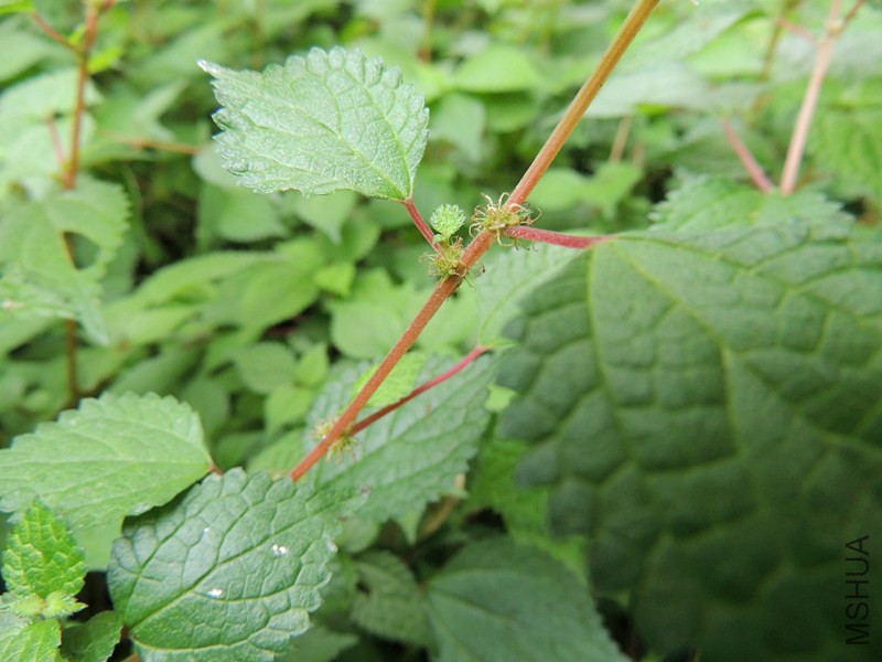 DSCN8729.JPG